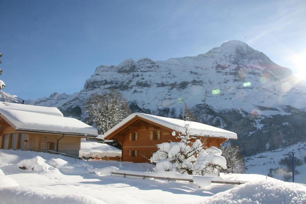 Chalet Baergbaechli Grindelwald Exterior photo